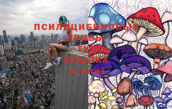 шишки Тихвин