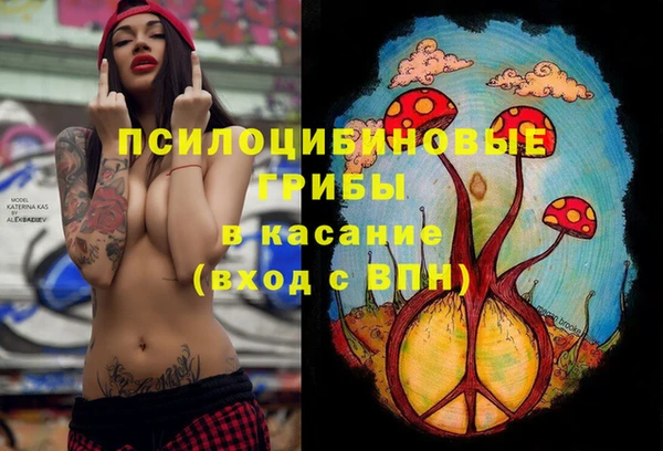 винт Верея