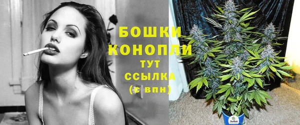 винт Верея