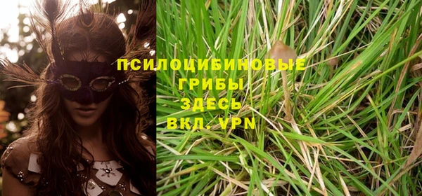 винт Верея