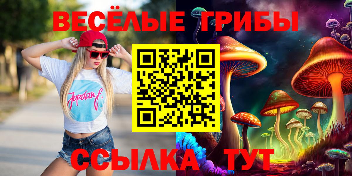 Псилоцибиновые грибы Cubensis Мончегорск