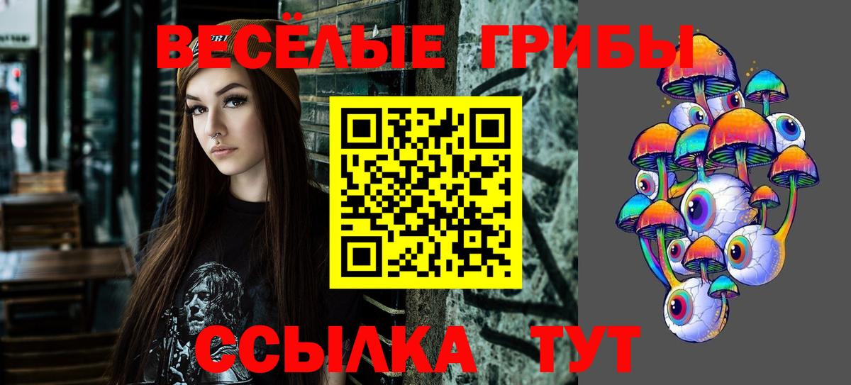 Мончегорск  Псилоцибиновые грибы мухоморы  Вход с VPN 